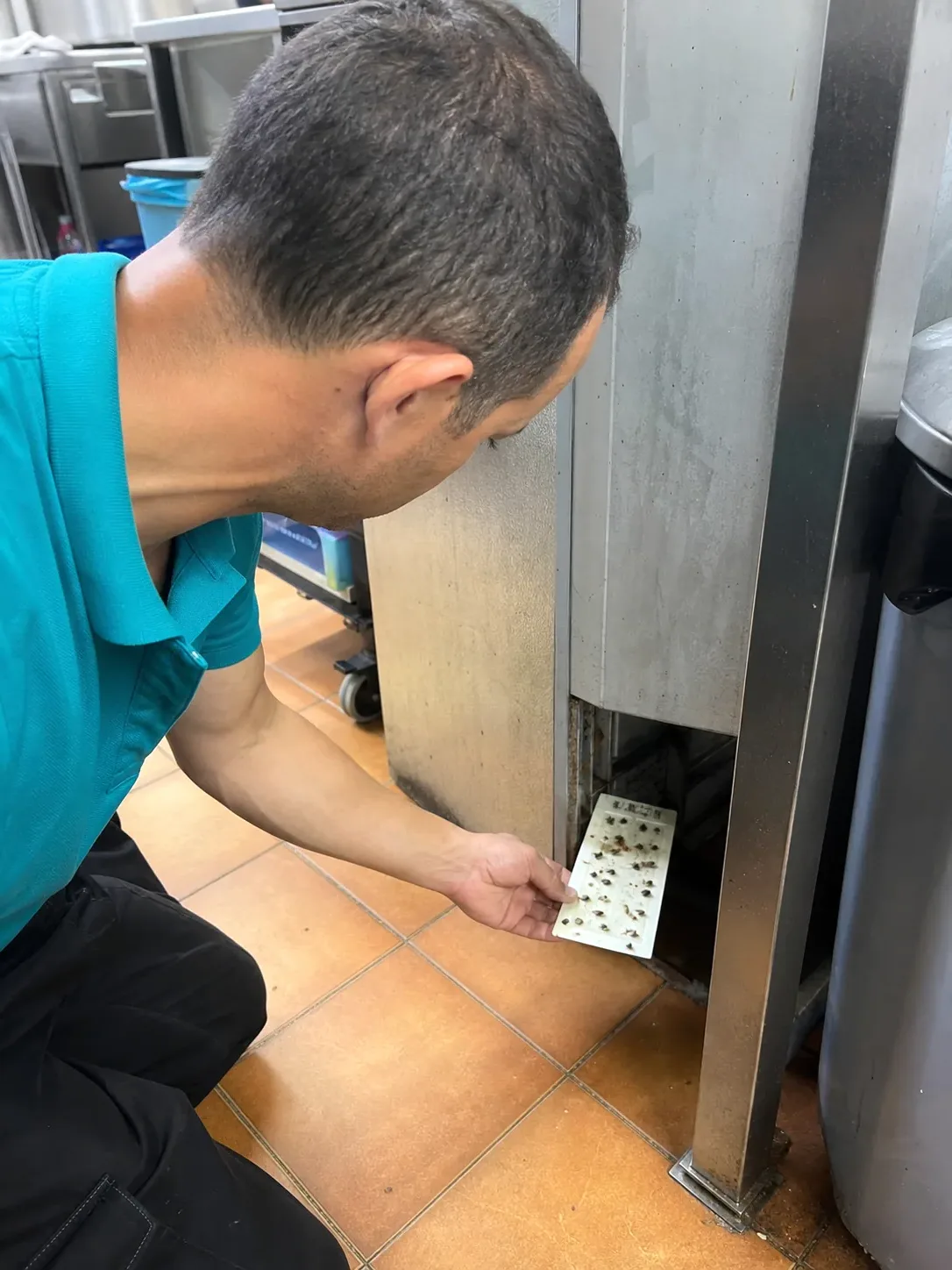 Técnico revisando una trampa de monitoreo de insectos